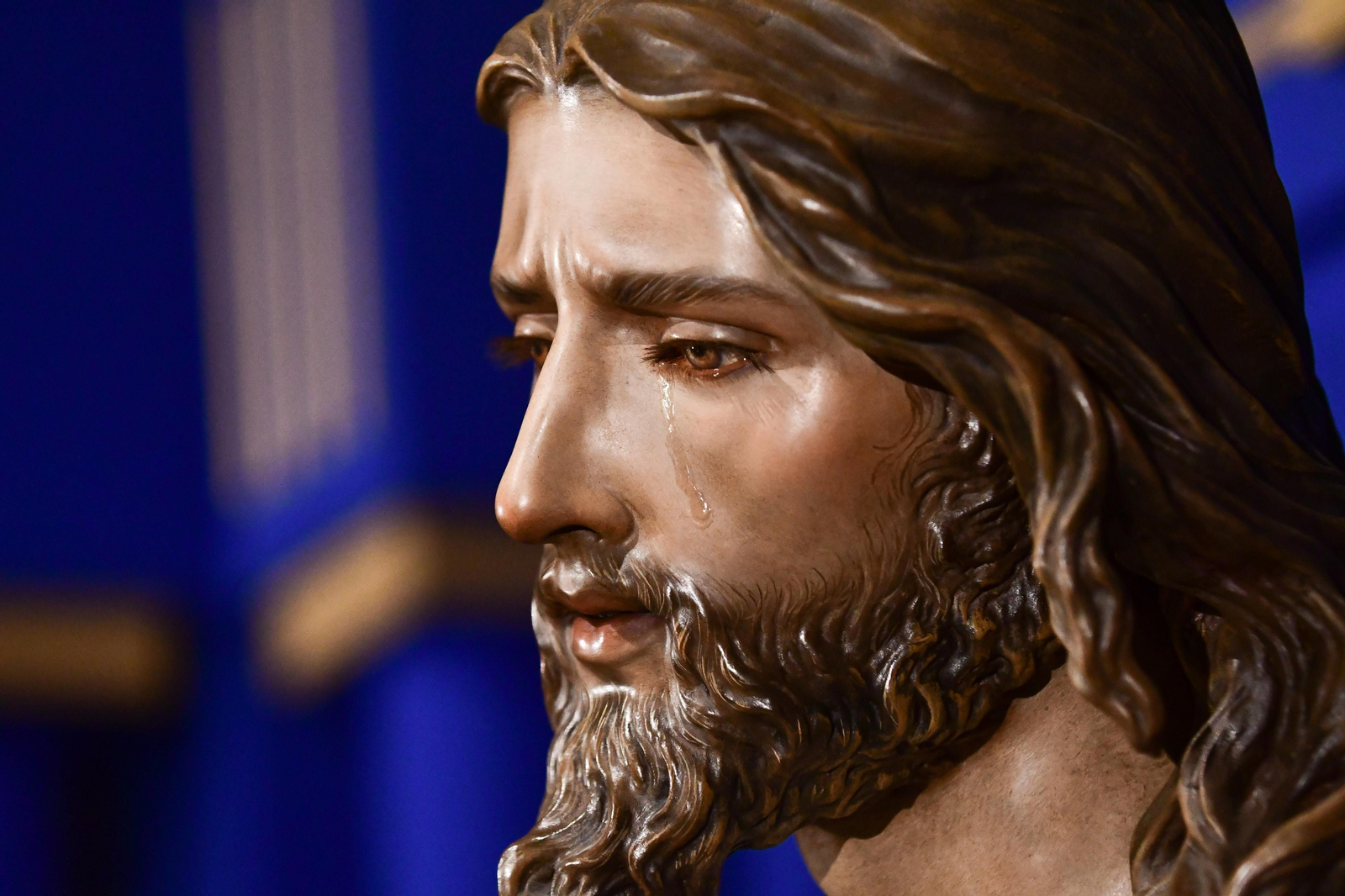 Nuestro Padre Jesús de la Bondad, al detalle