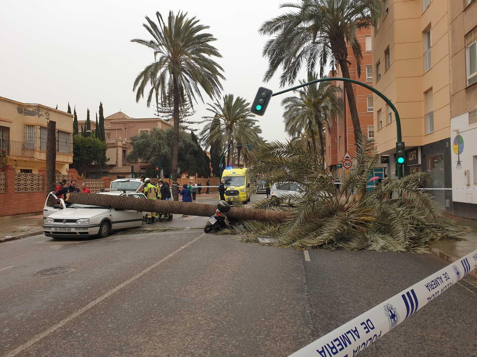 Una palmera causa un brutal accidente en Almería