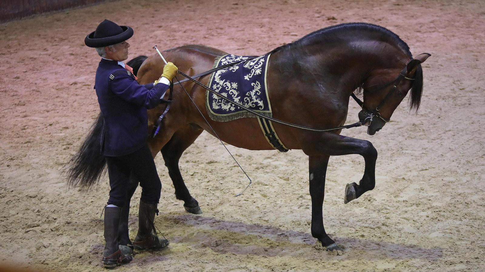 Así fue el homenaje a Álvaro Domecq en la Real Escuela Andaluza del Arte Ecuestre en Jerez