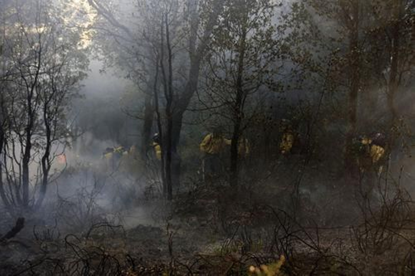 Un retén numeroso trabaja entre humo y llamas

Foto: Javier Flores