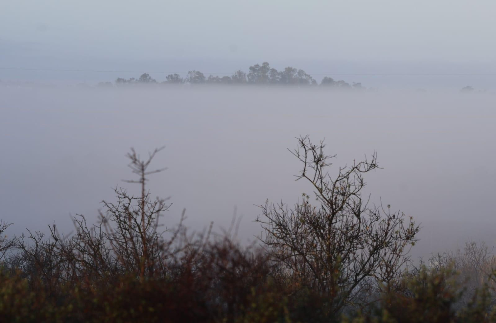Huelva se tiñe de blanco con la densa niebla de este jueves: espectaculares imágenes de la provincia a primera hora de la mañana
