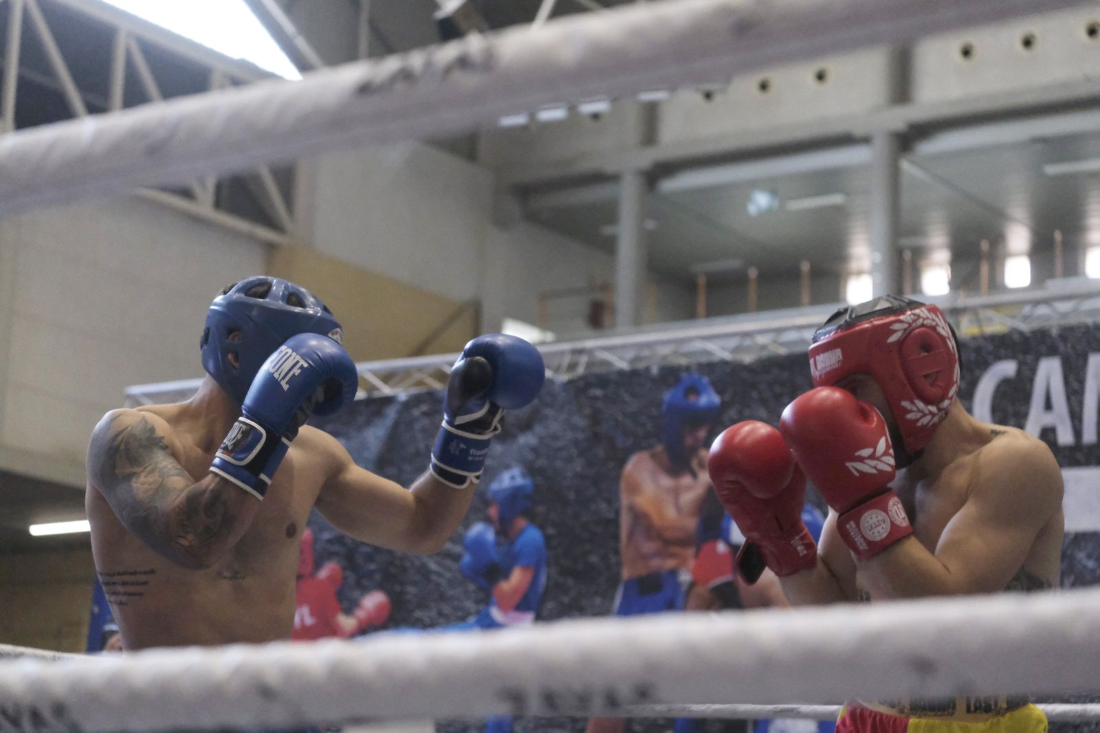 Córdoba disfruta del Campeonato de España de kick boxing, en imágenes