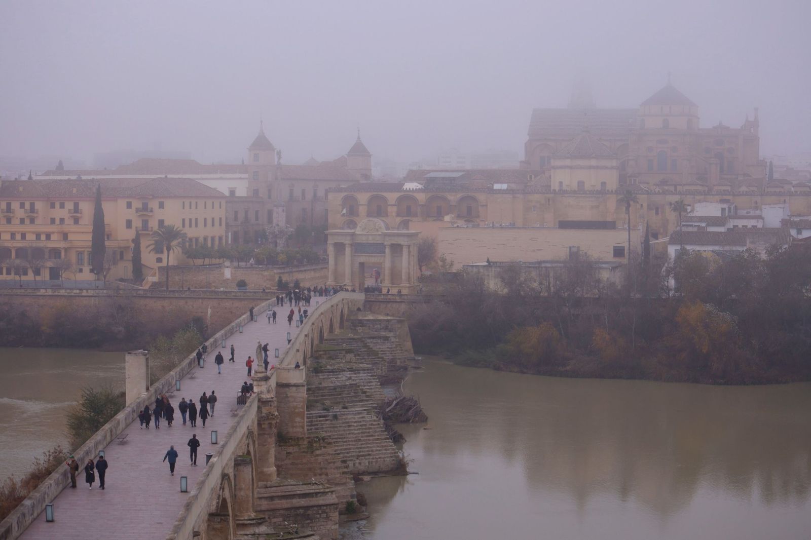 Córdoba amanece bajo la niebla el último día de 2025, en fotos