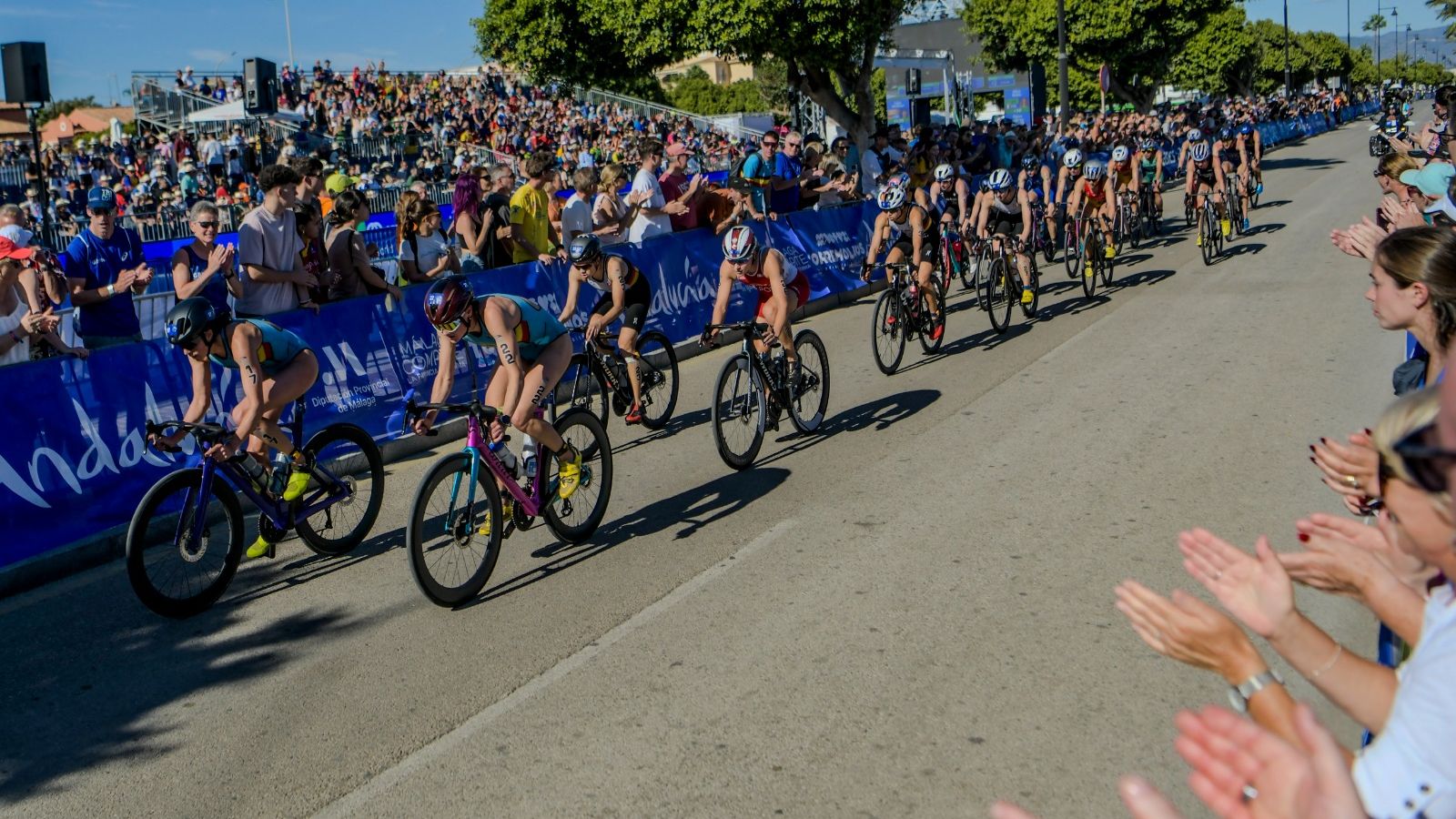 Series Mundiales de triatlón: Cassandre Beaugrand, nueva reina mundial