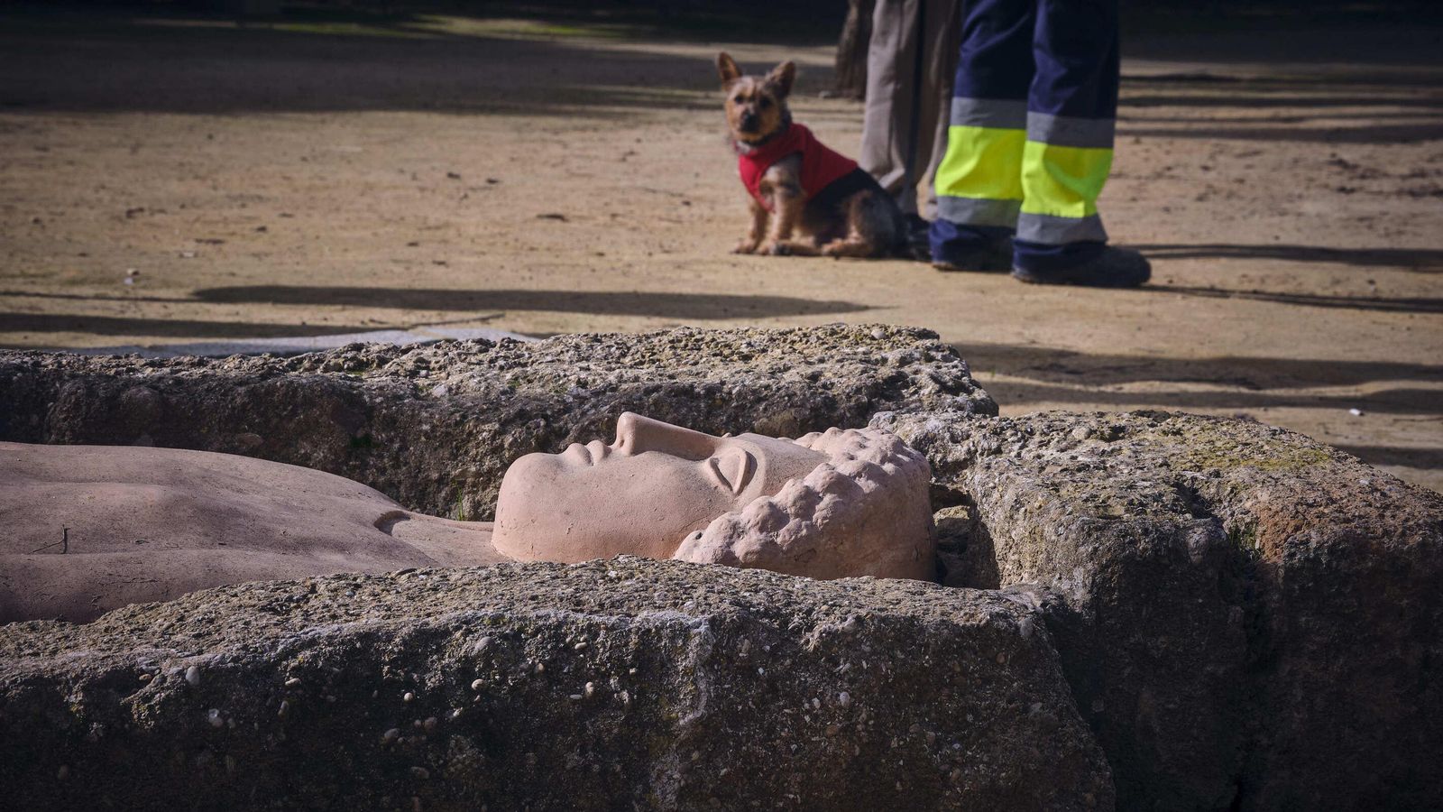Perros en el parque arqueológico.