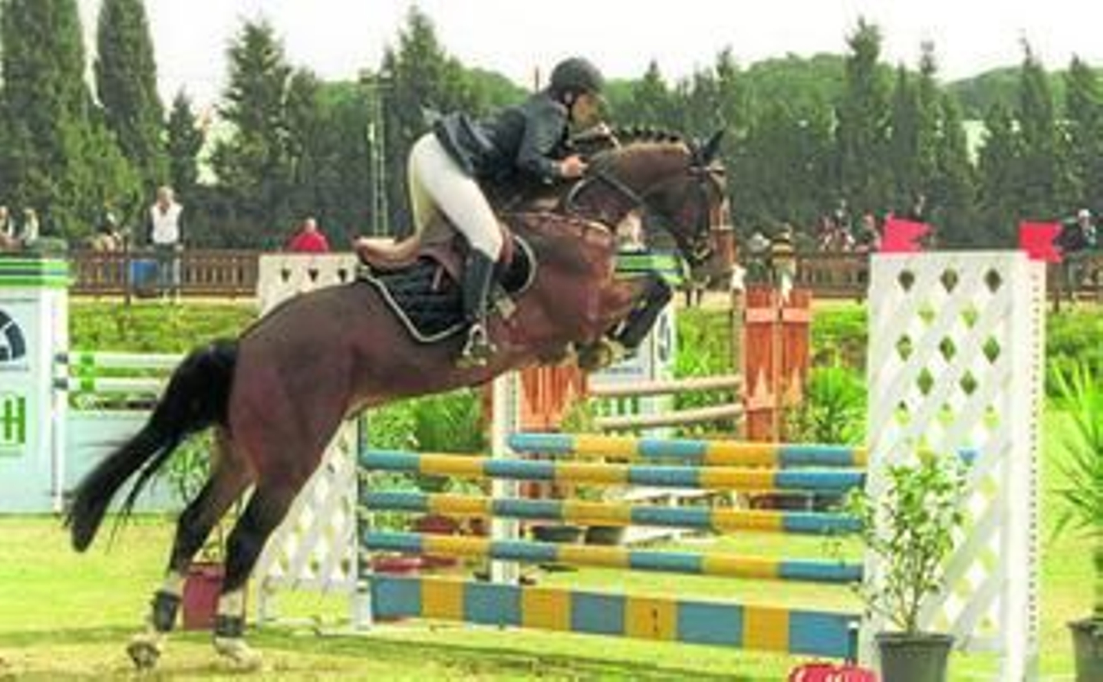 Imagen retrospectiva de la celebración del Circuito Hípico del Sol en la Dehesa Montenmedio de Vejer de la Frontera.