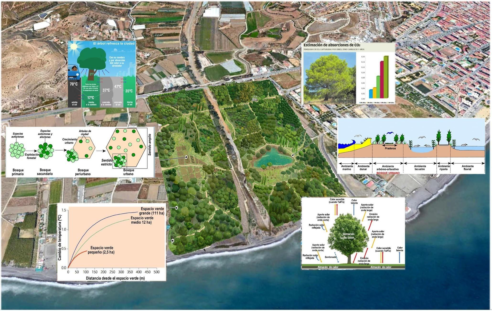 El Proyecto de Parque Urbano de Torre del Mar y Almayate presentado por GENA El Proyecto de Parque Urbano de Torre del Mar y Almayate presentado por GENA