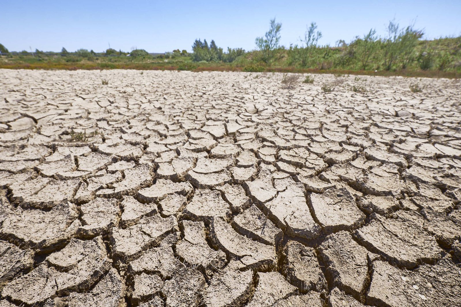 Terreno árido del parque de Las Aletas, en una imagen reciente.