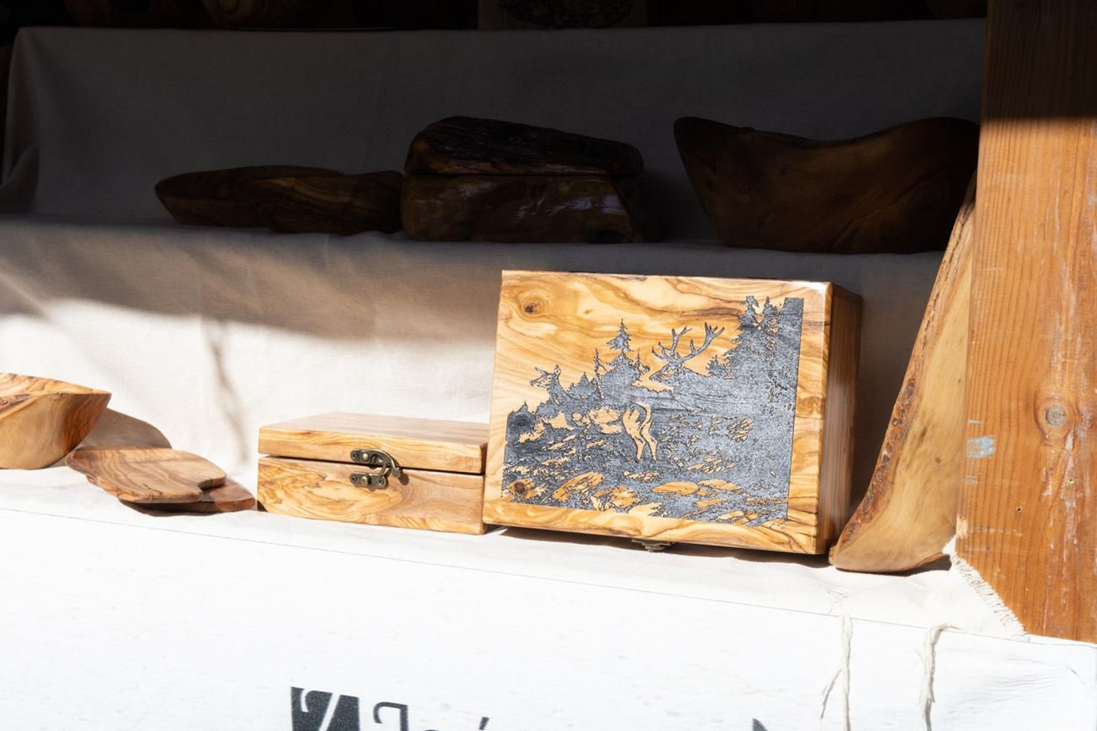 Homenaje a los agricultores de Jaén en la Fiesta del Primer Aceite en Martos (II)