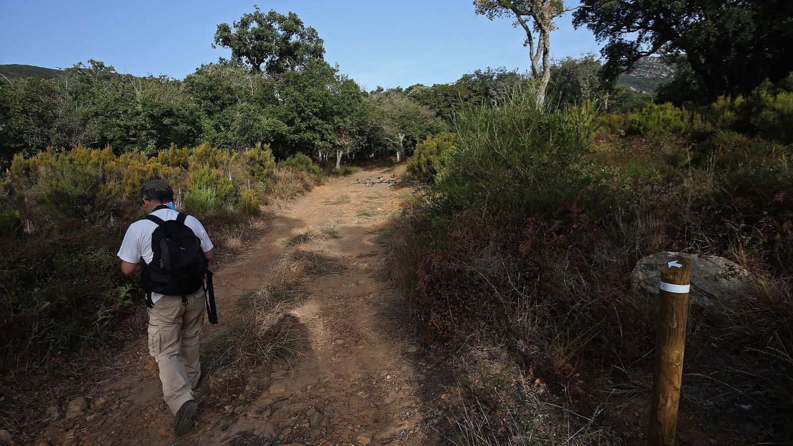 Las mejores fotos de San Carlos del Tiradero