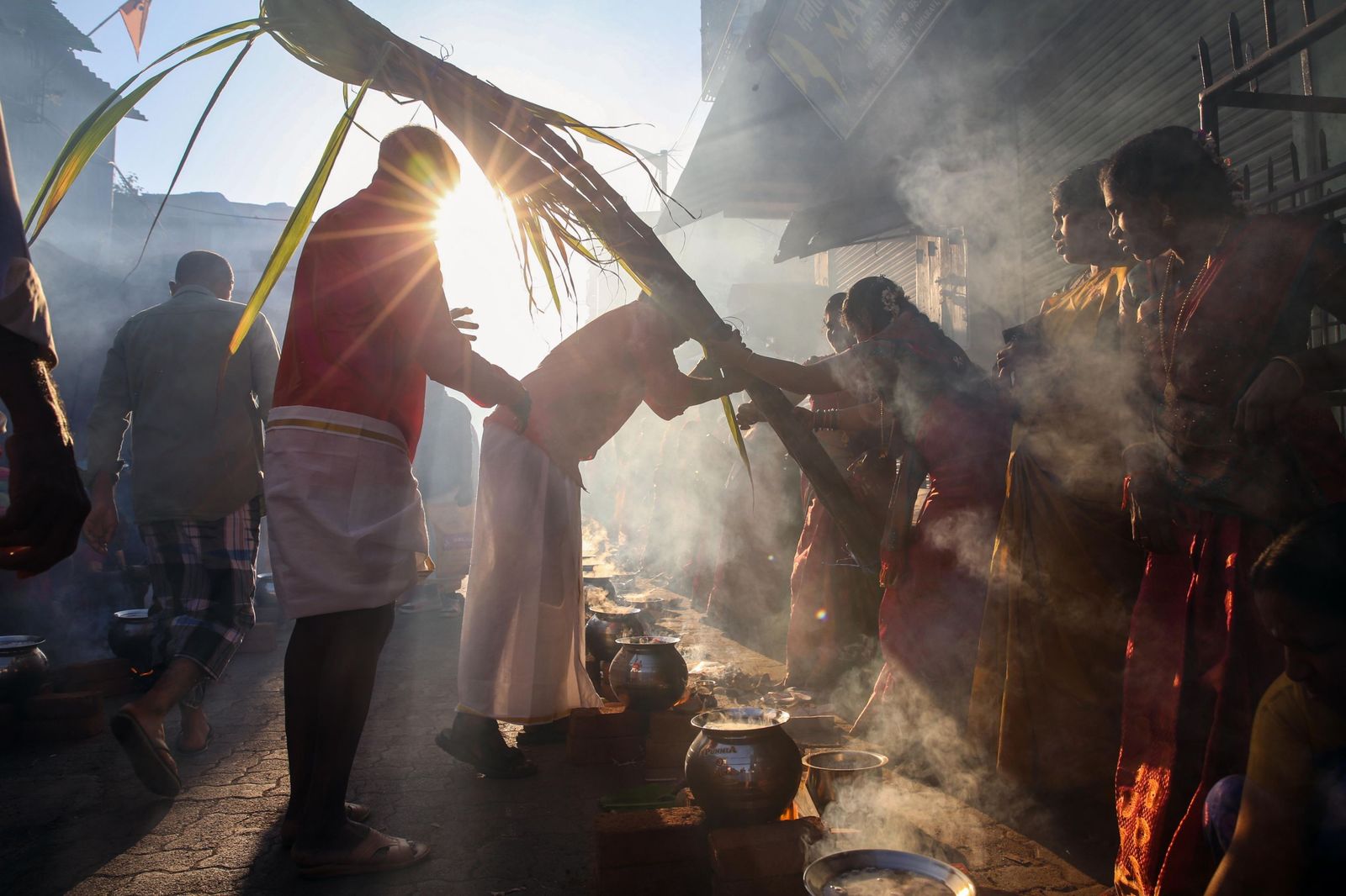 Las preciosas imágenes del Festival Thai Pongal en India