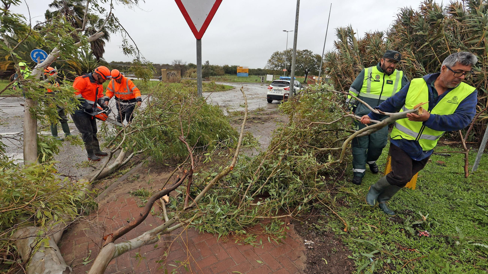 Imágenes del temporal de viento y lluvia en Jerez