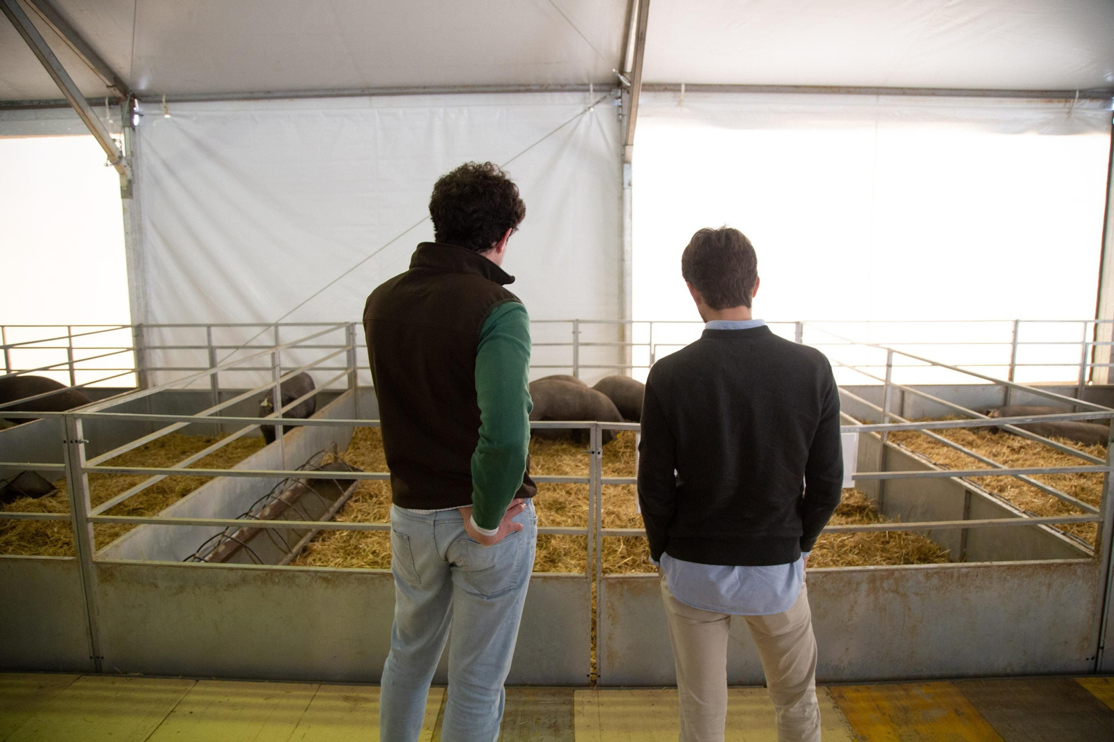 Un recorrido en fotografías por la Feria Agroganadera de Los Pedroches