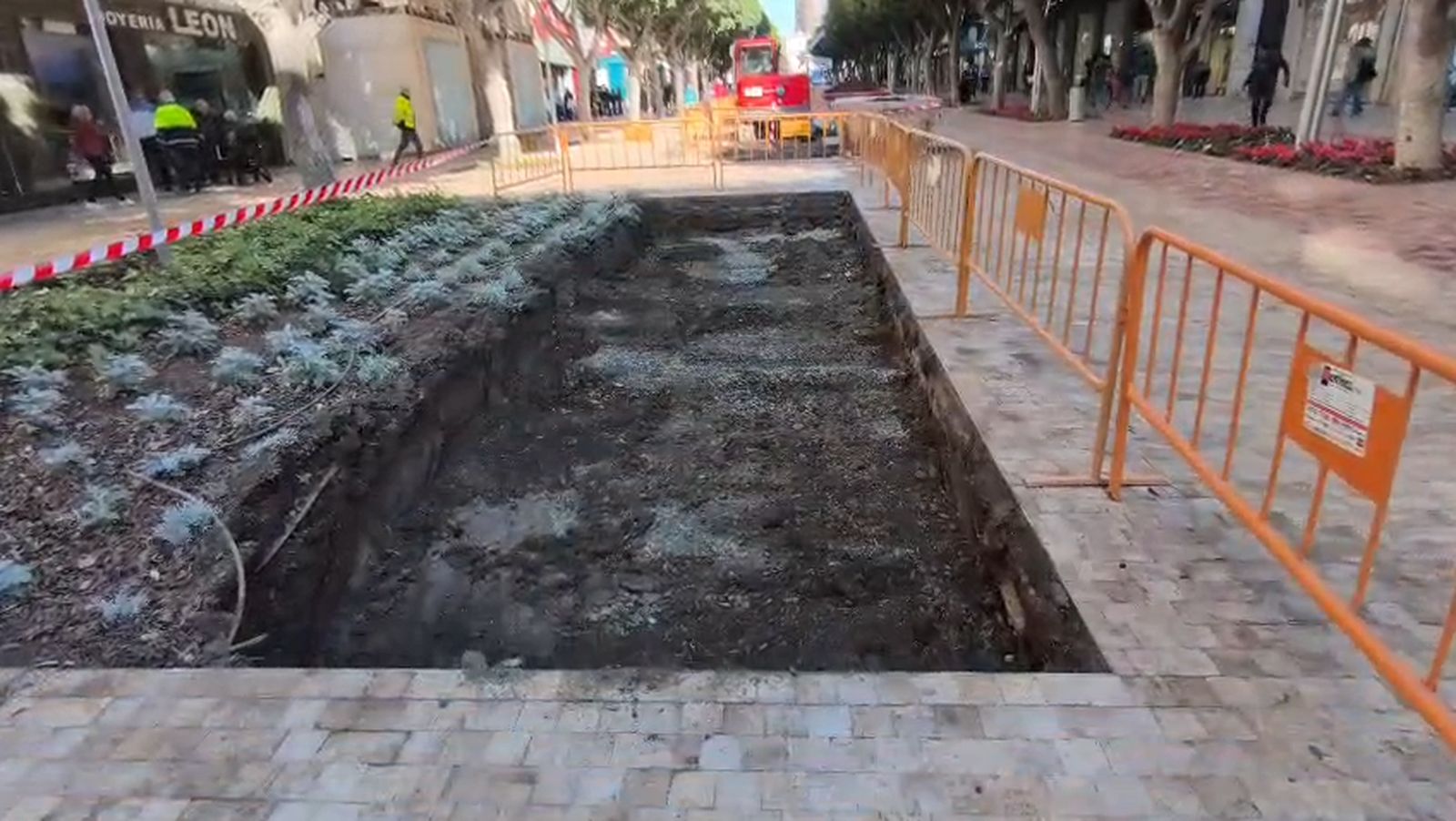 El Paseo de Almería reduce los parterres a la mitad