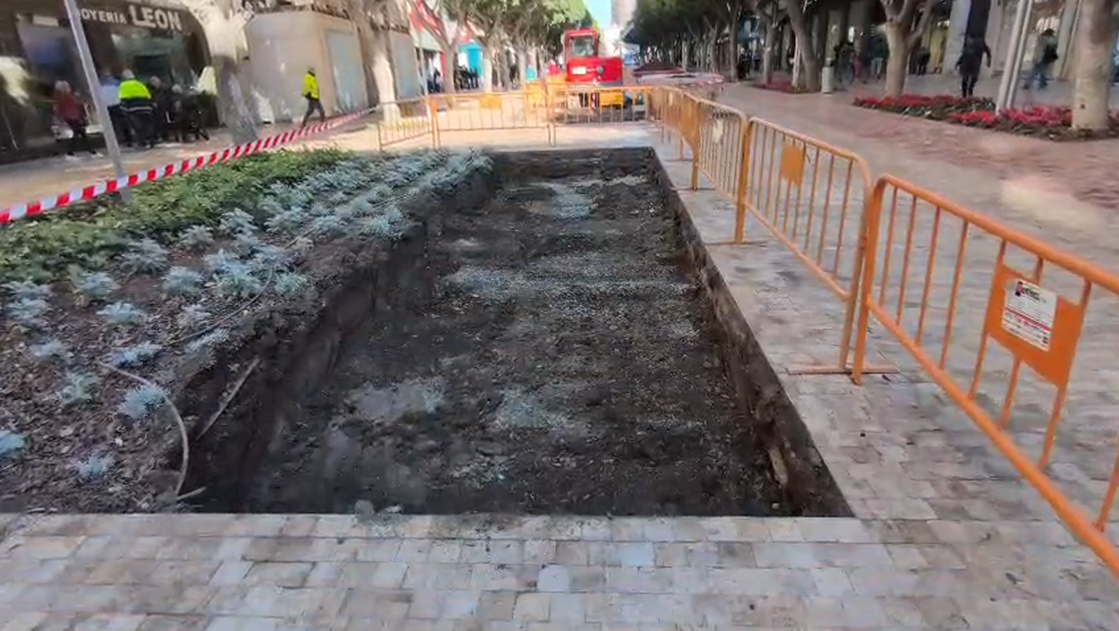 El Paseo de Almería reduce los parterres a la mitad