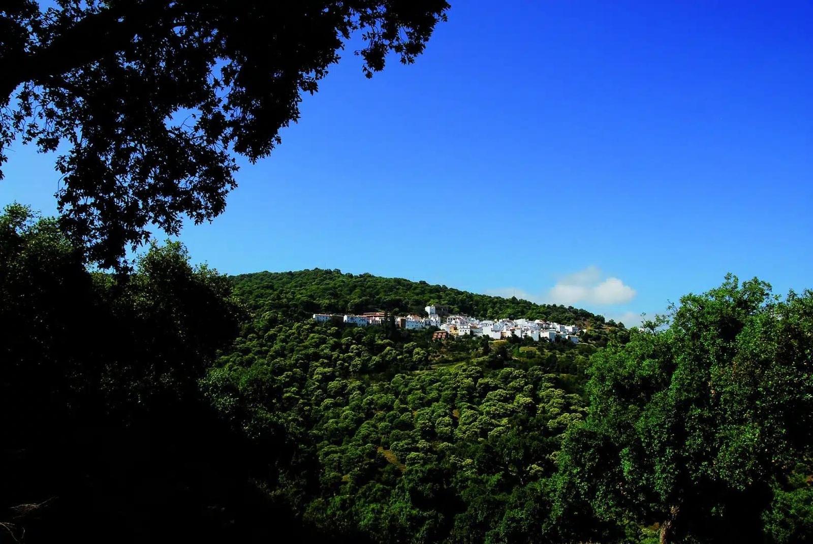Una panorámica de Pujerra, a lo lejos.