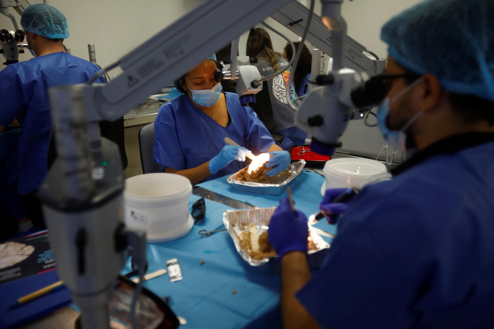 El curso en el que neurocirujanos del Hospital Reina Sofía estudian el cerebro, en imágenes