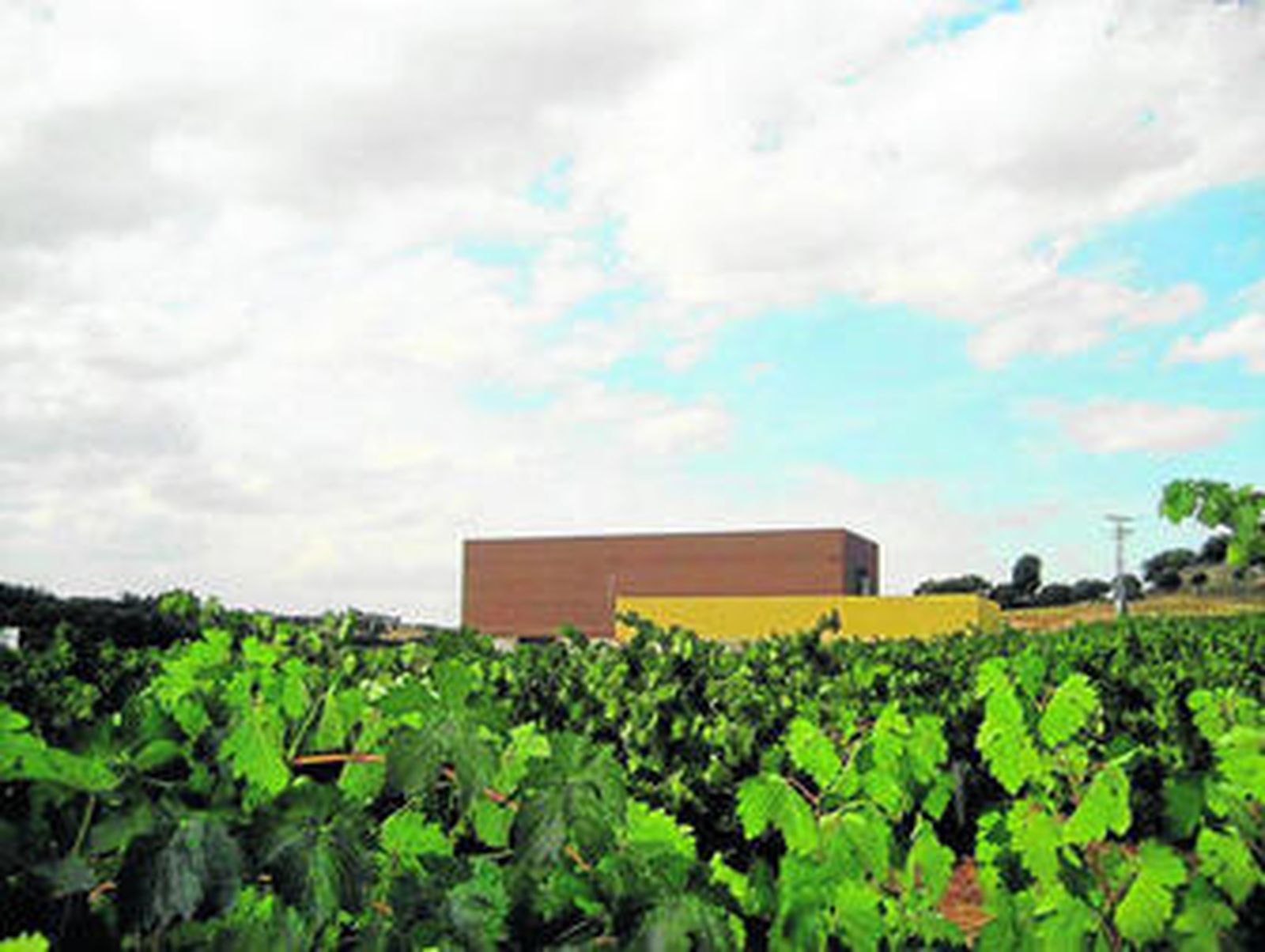 Viñedos y bodega de la Hacienda de Miguel Sanz, en Burgos.