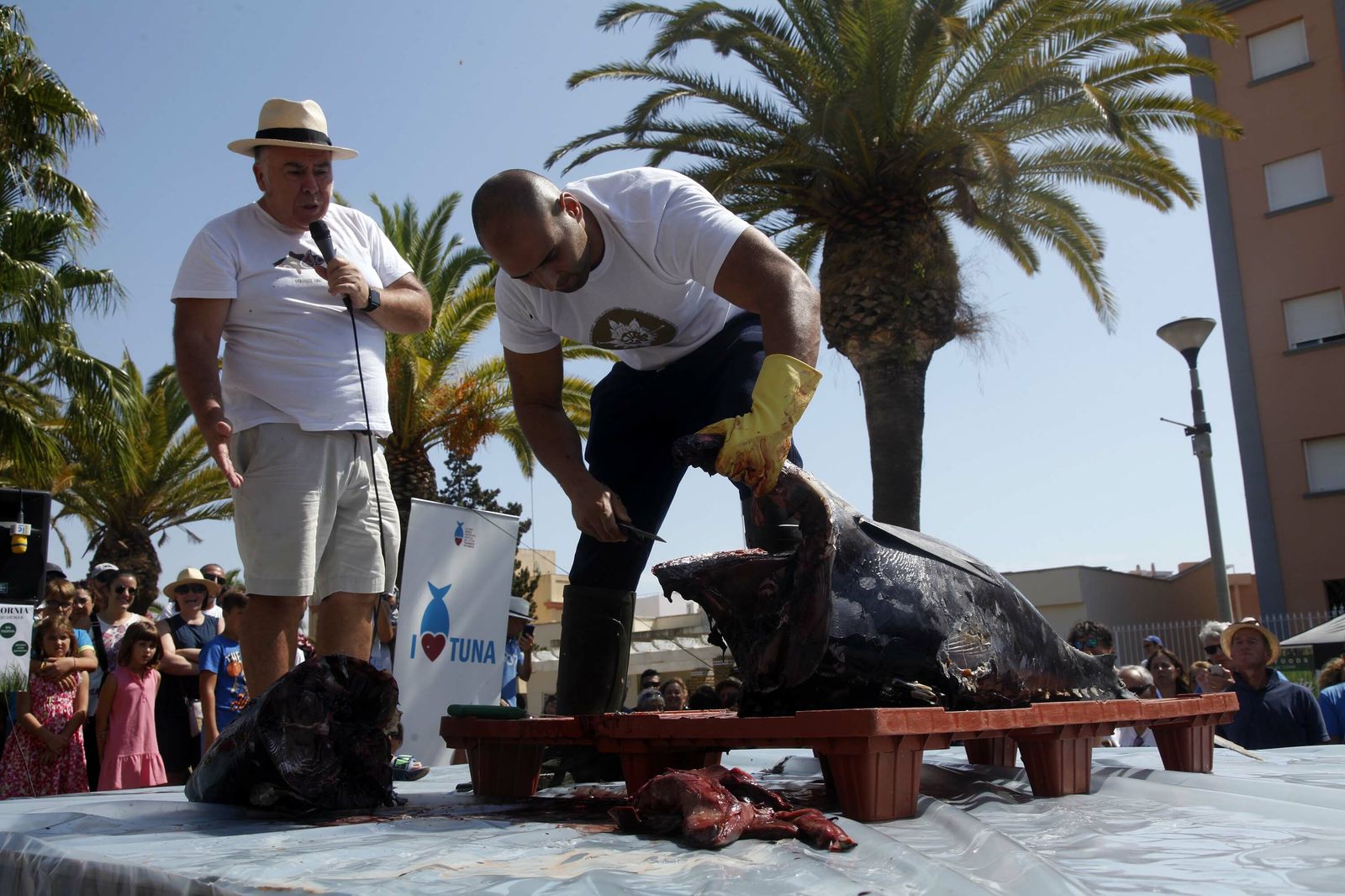 Ronque de un atún ante cientos de personas.