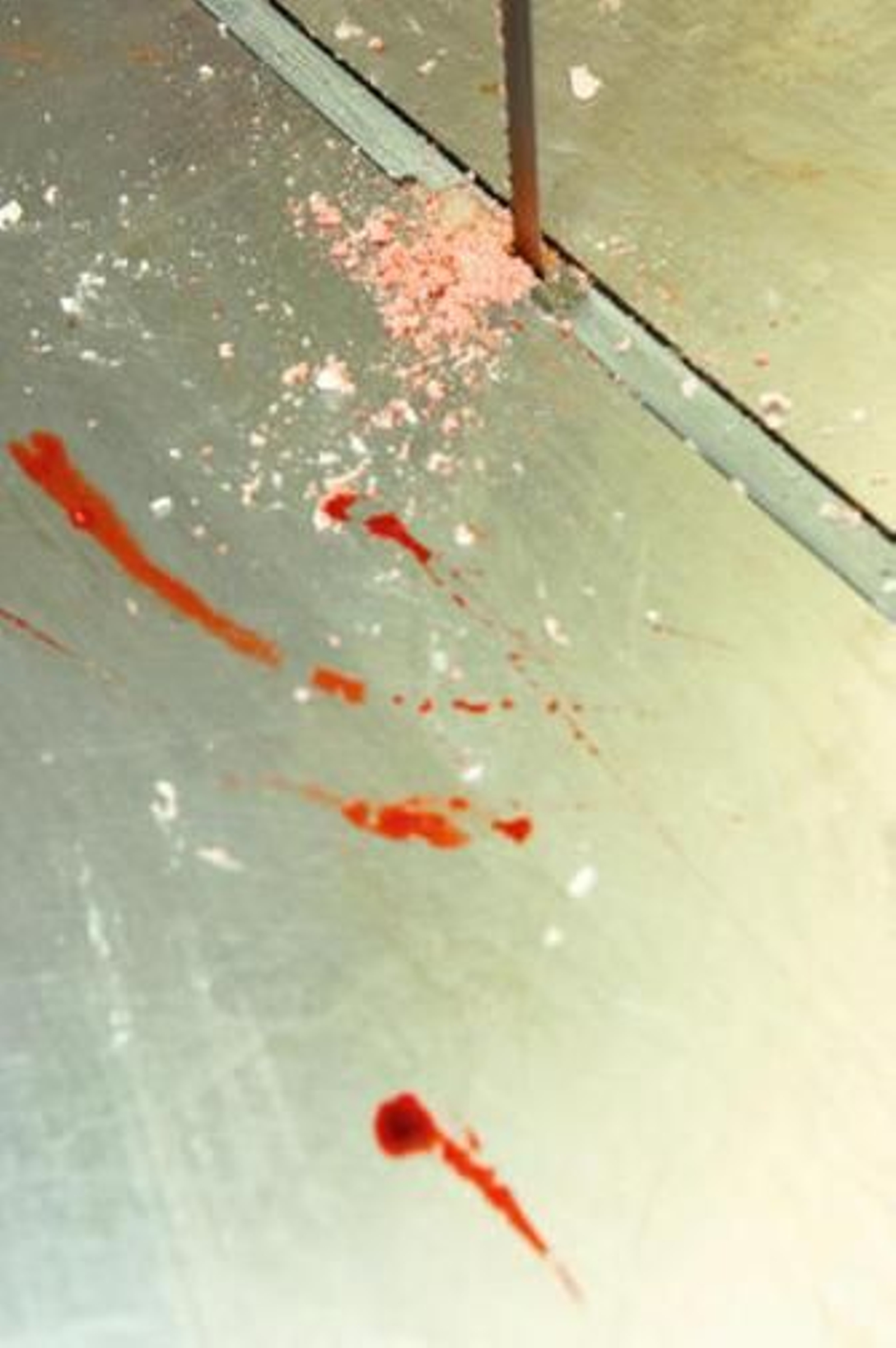 Crimen sin cadáverEl asesinato de la enfermera británica