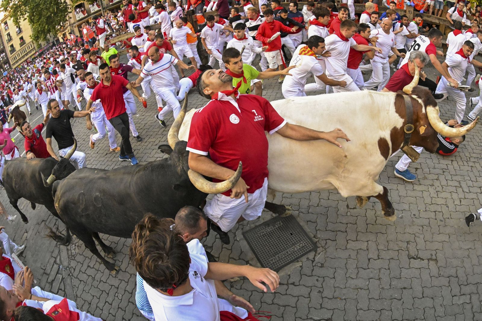 Un mozo entre dos toros en el octavo y último encierro de San Fermín.