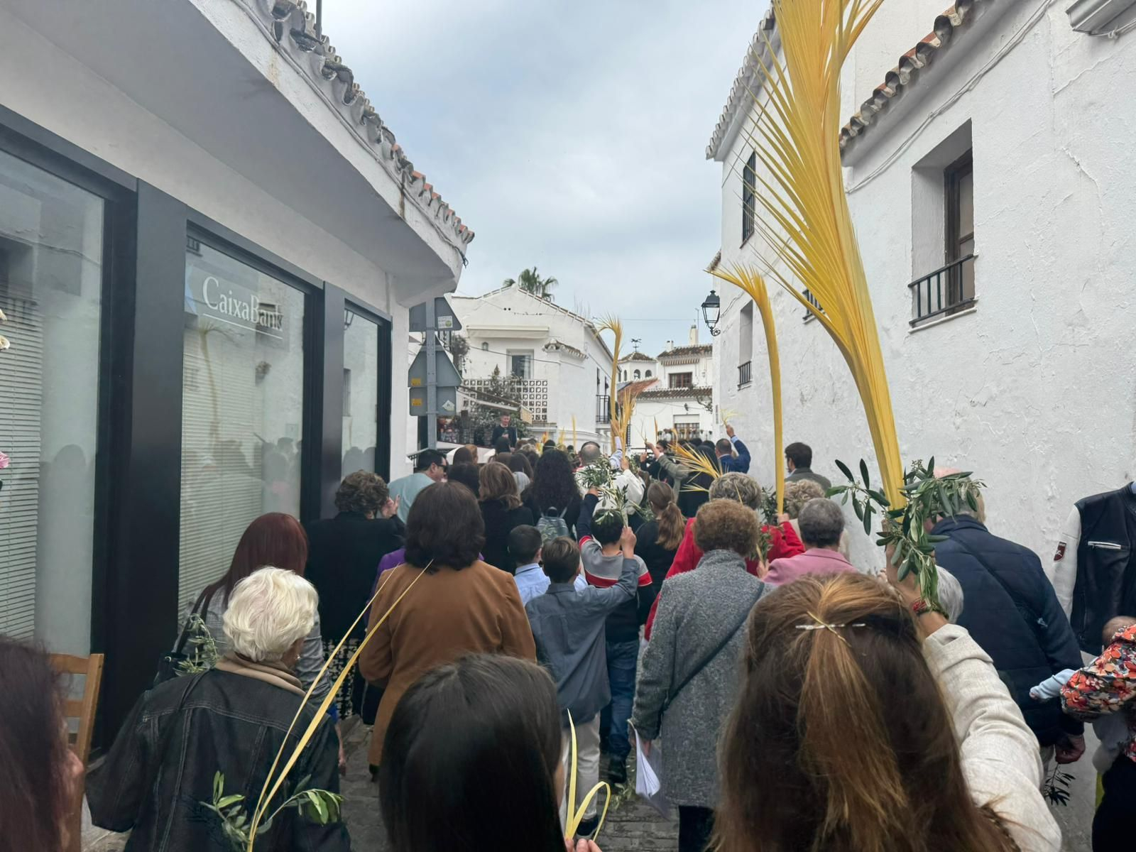 La Pollinica el Domingo de Ramos en Mijas, en imágenes