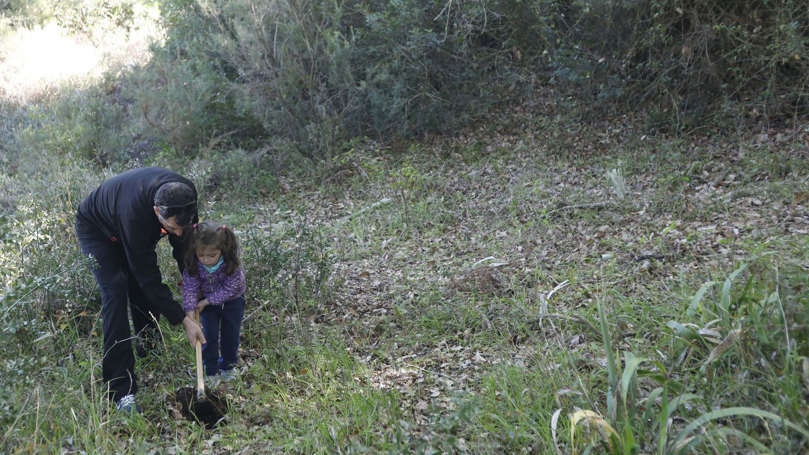 Jornada de reforestación en El Palancar por trabajadores de Acerinox, en imágenes