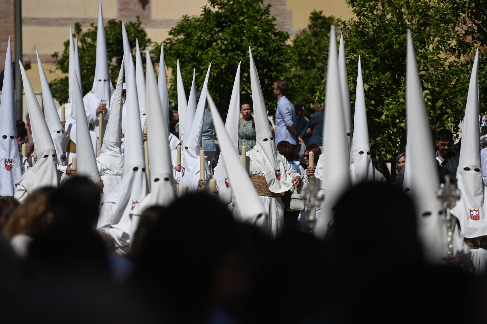 Humildad en su procesión del Domingo de Ramos de Málaga, en fotos