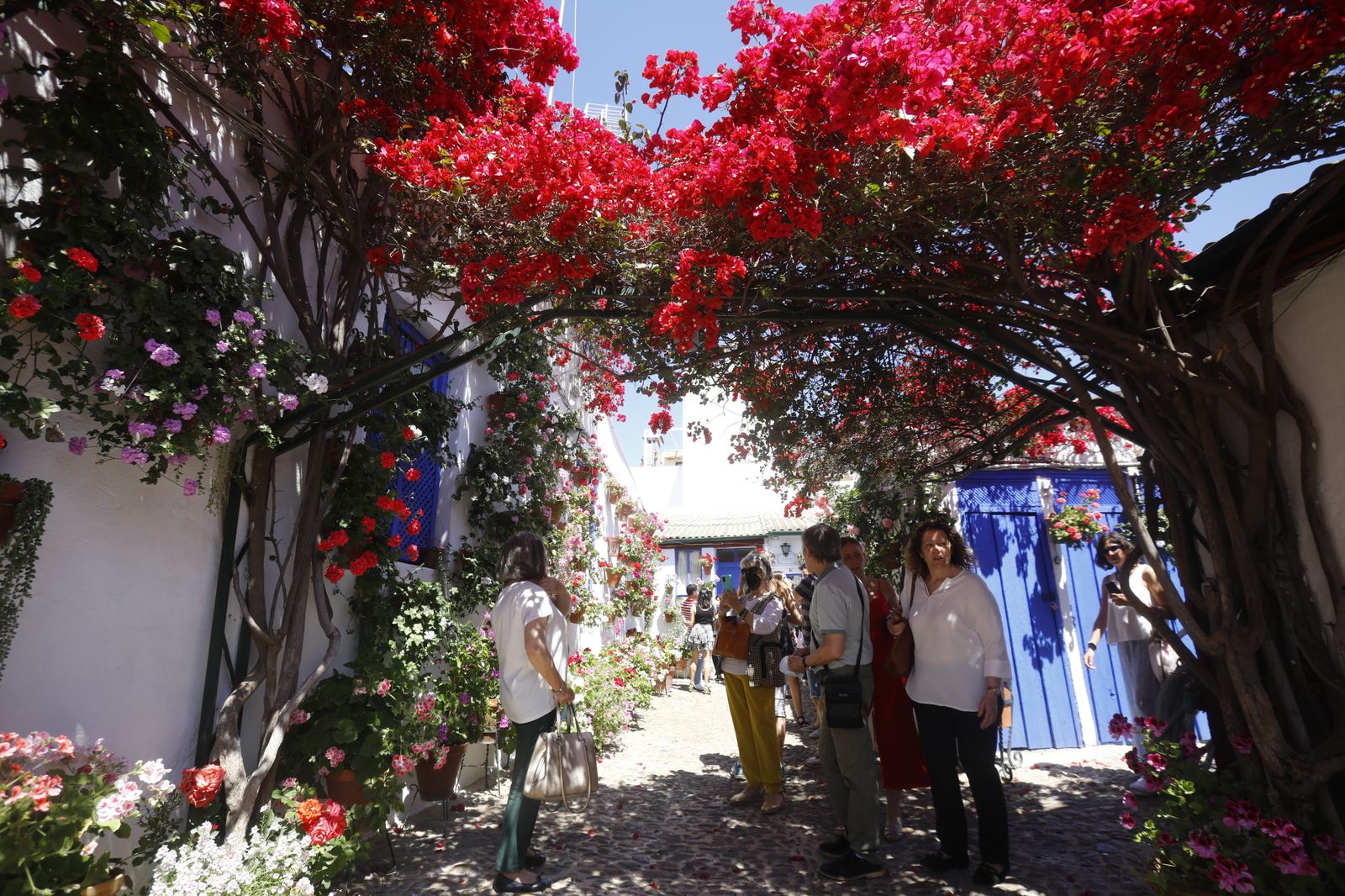 El primer sábado de Patios de Córdoba, en imágenes