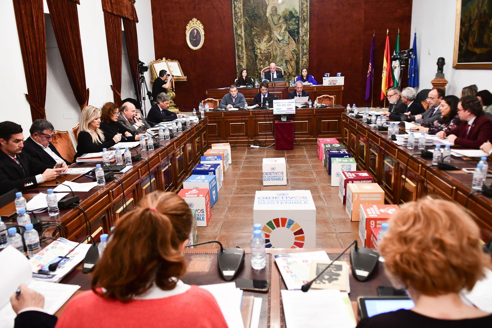 Un momento del Pleno celebrado en la Diputación