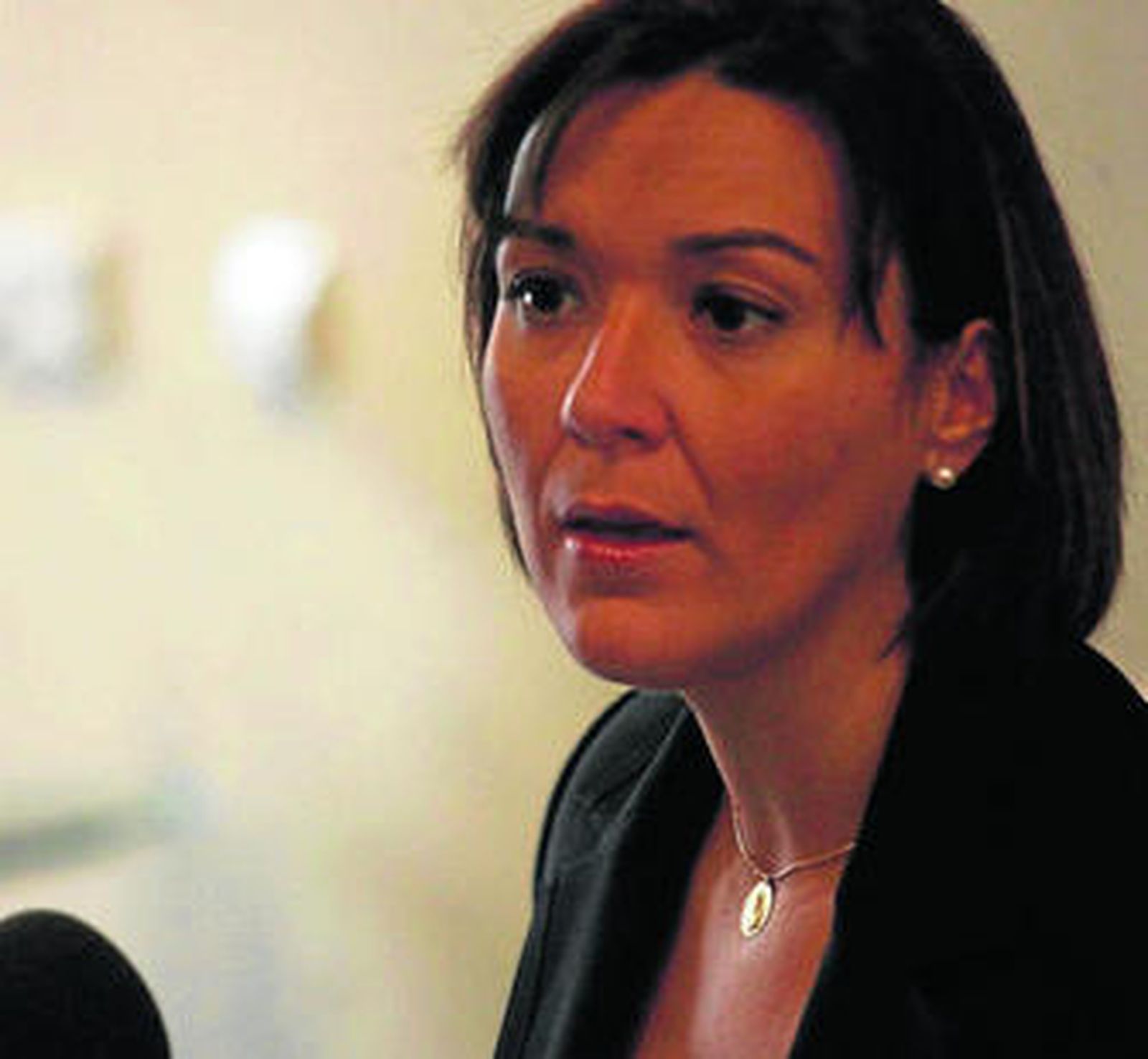 La alcaldesa, Gemma Araujo, durante la rueda de prensa ofrecida ayer.