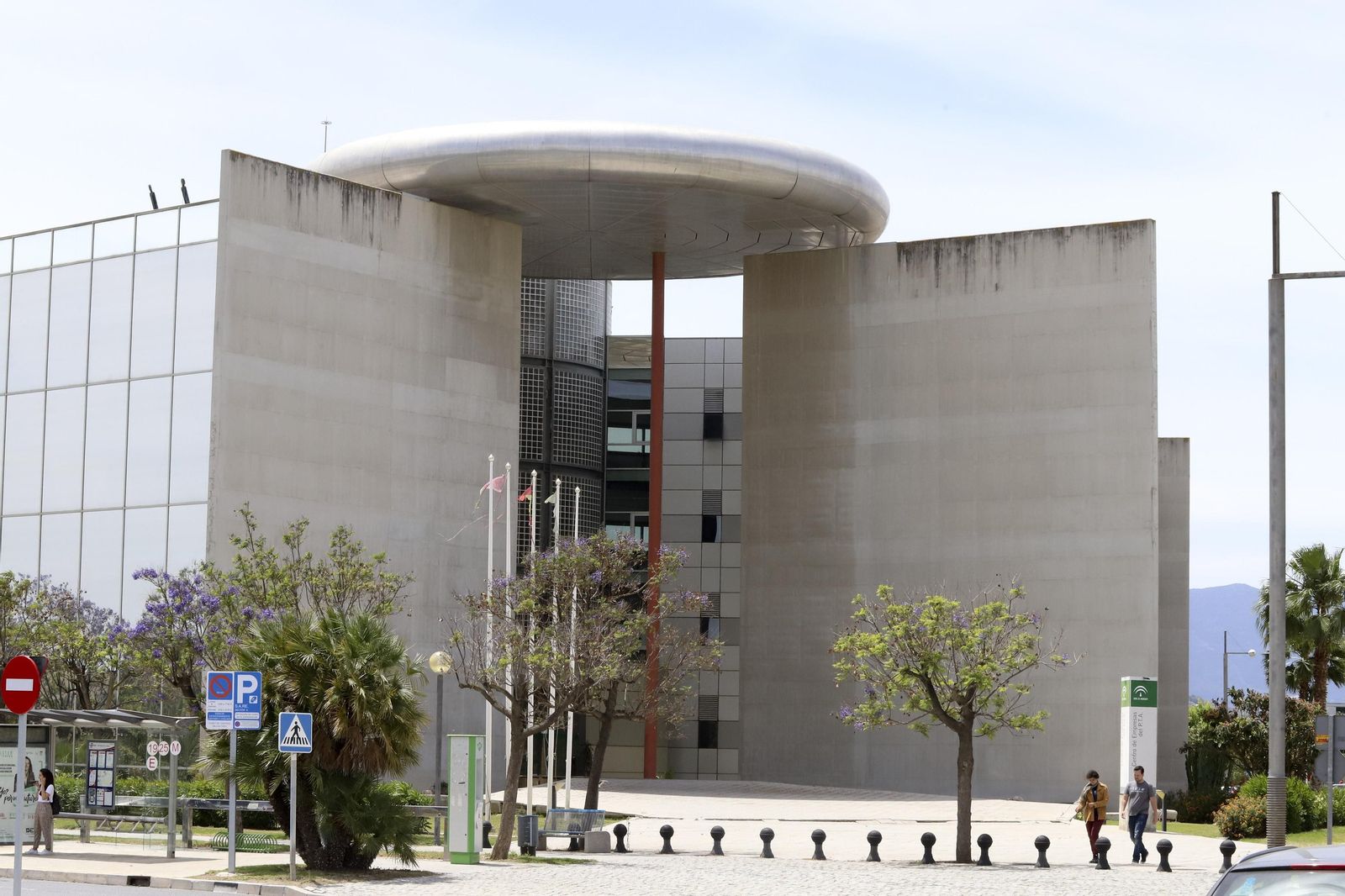 Campanillas en fotos