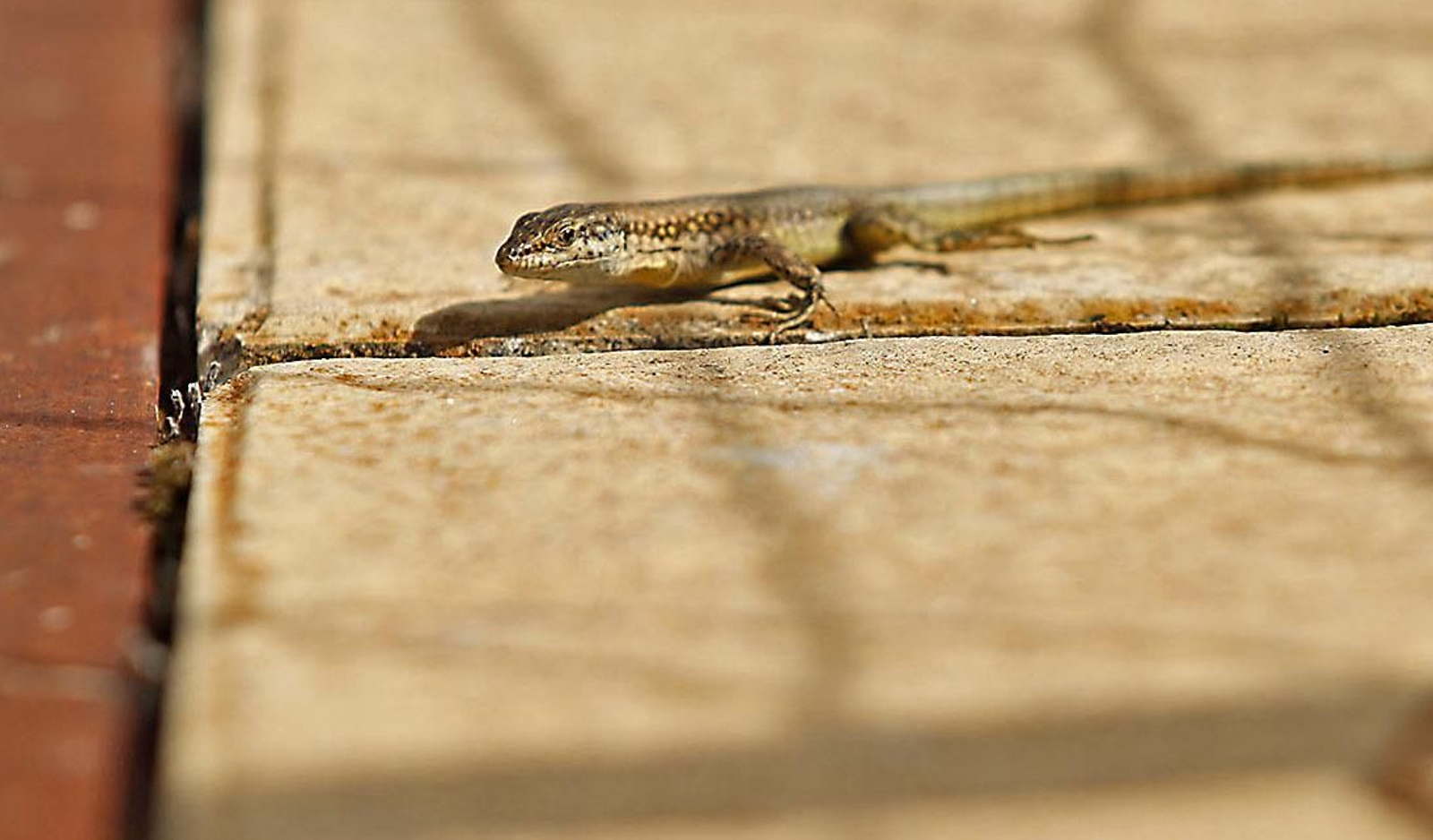 Las imágenes más destacadas del viernes 27 de octubre en Huelva