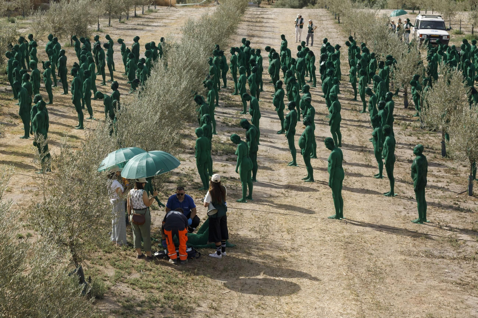 Las mejores imágenes del posado para Spencer Tunick en un olivar granadino.