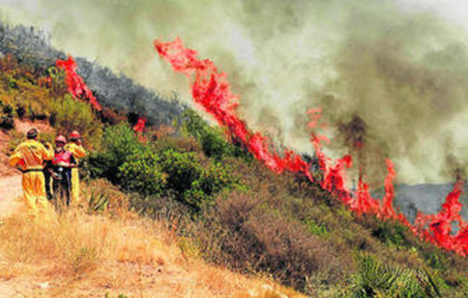 Miembros del Infoca, durante la intervención del martes en el incendio.