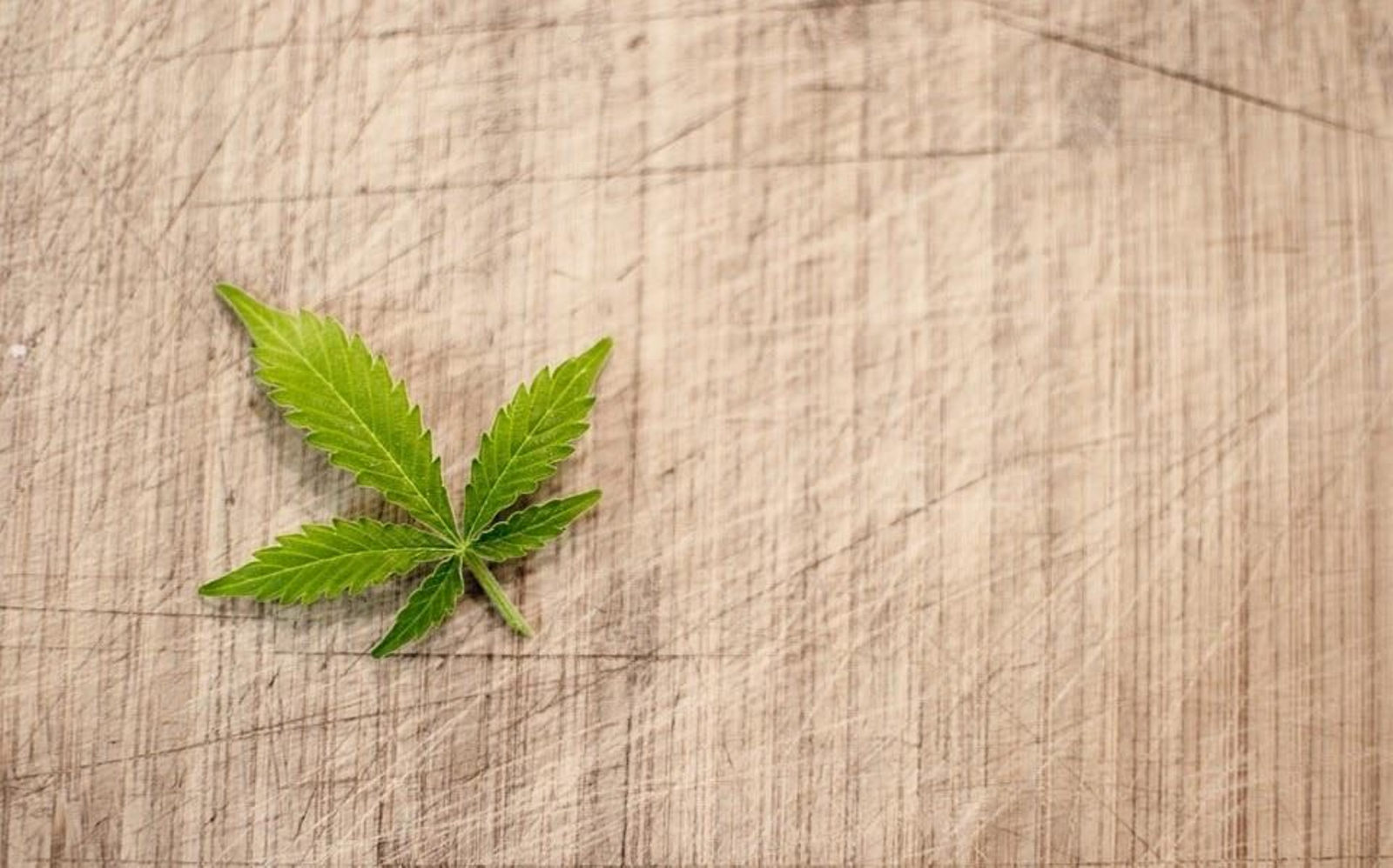 ¿Qué es la marihuana medicinal?