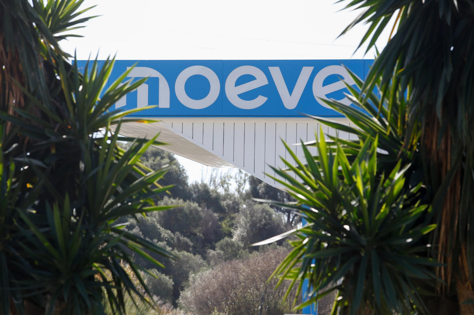 Una estación de servicio de Moeve, en San Roque, Cádiz