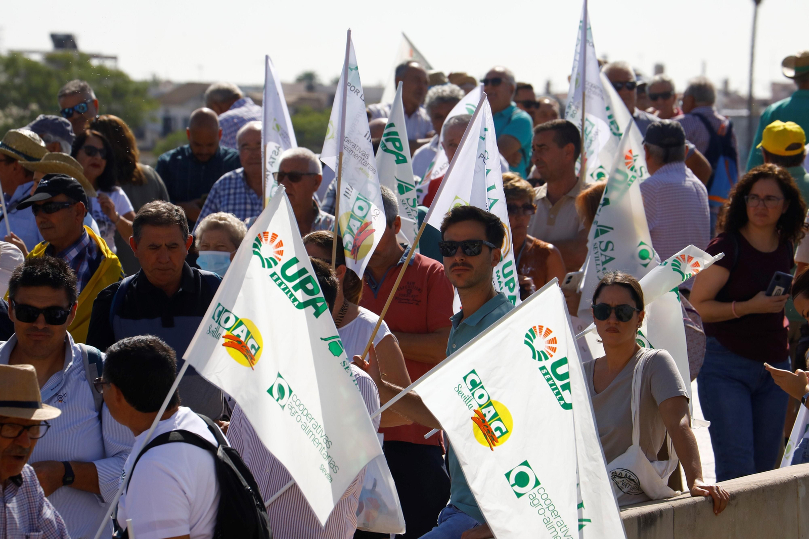 La protesta del sector agrario contra las políticas de la UE en Córdoba, en imágenes