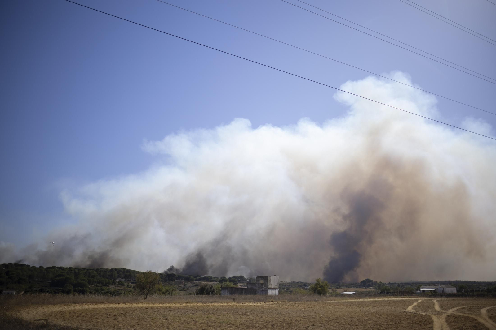 Imágenes del incendio de Bonares