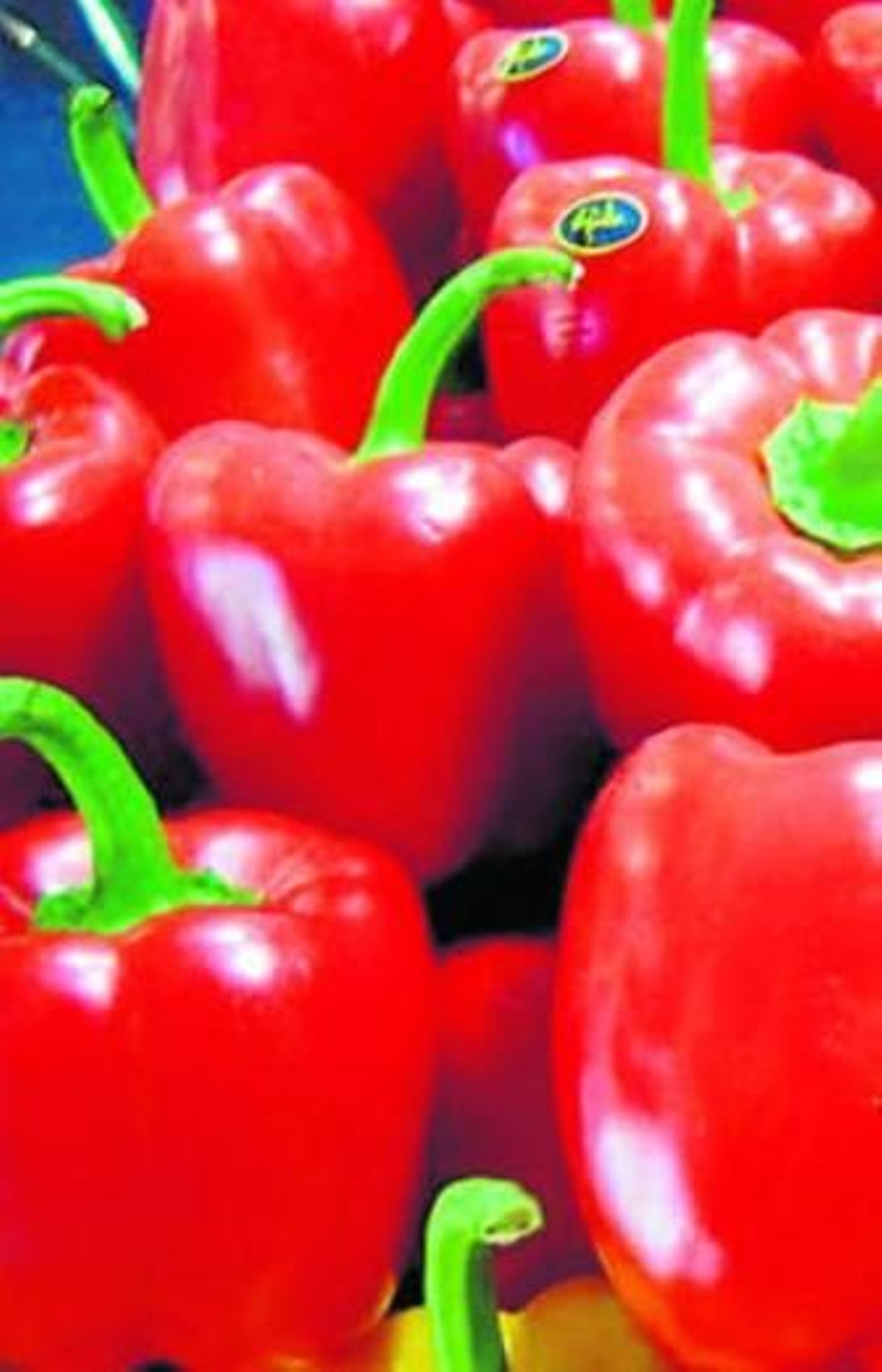 Pimiento rojo california.