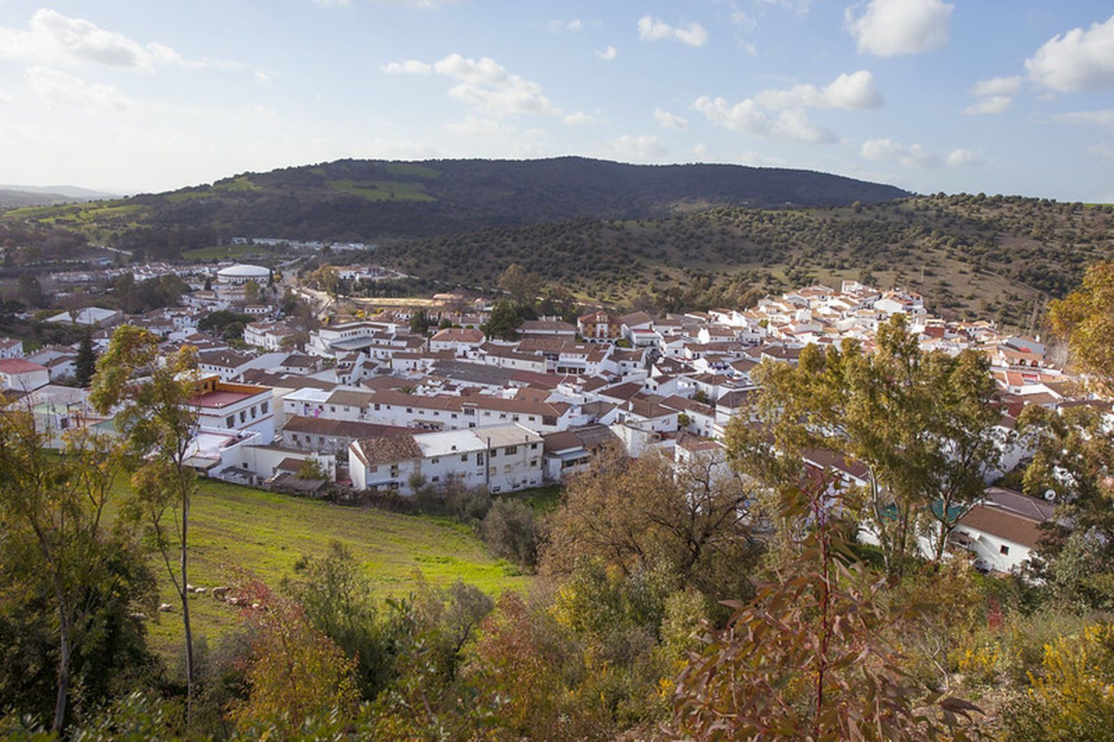 La II edición del Festival de Las Flores se celebrará en El Bosque y contará con Raule, Duende Callejero y Gonzalo Alhambra