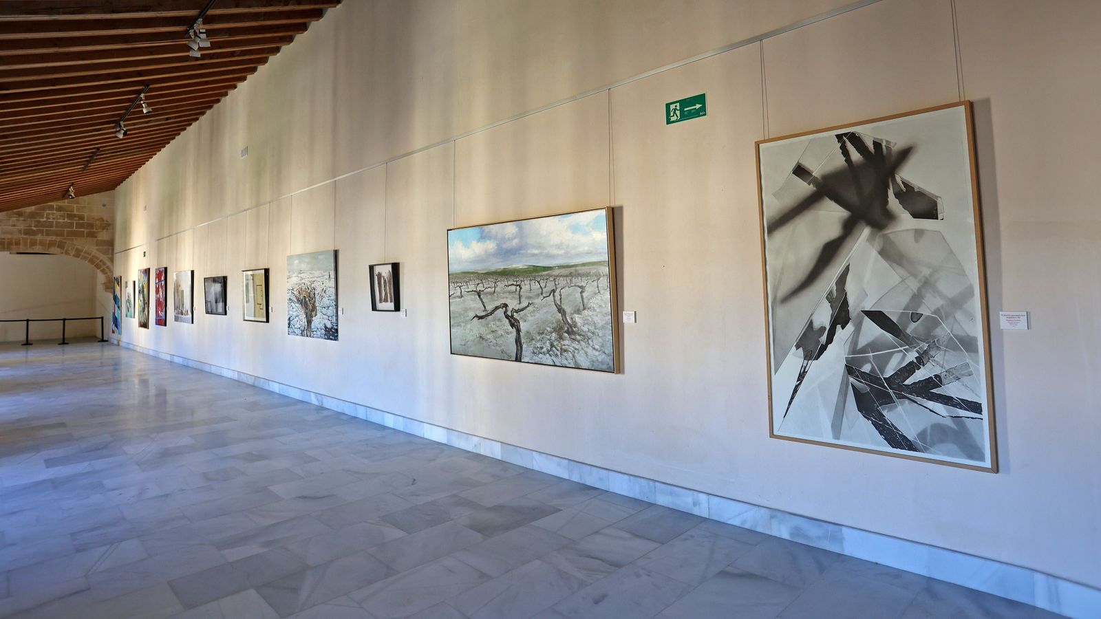 Exposición 'Ars Picturae' en los Claustros.