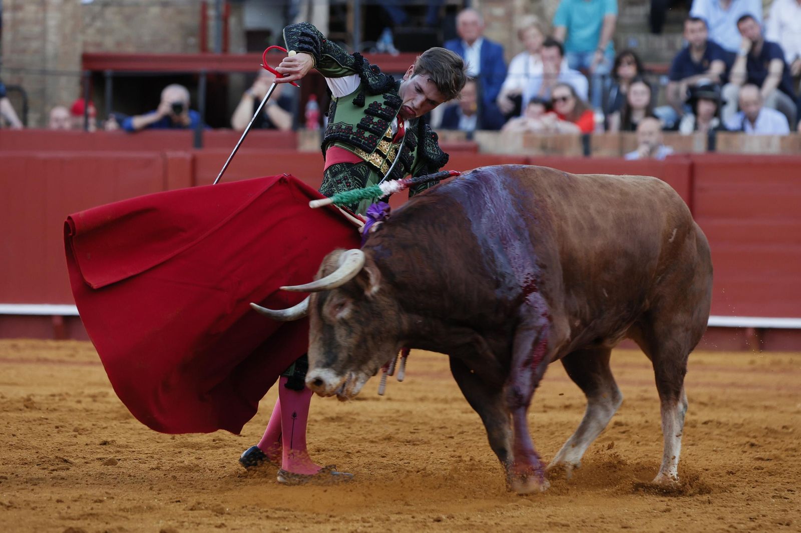 Las imágenes de la Novillada