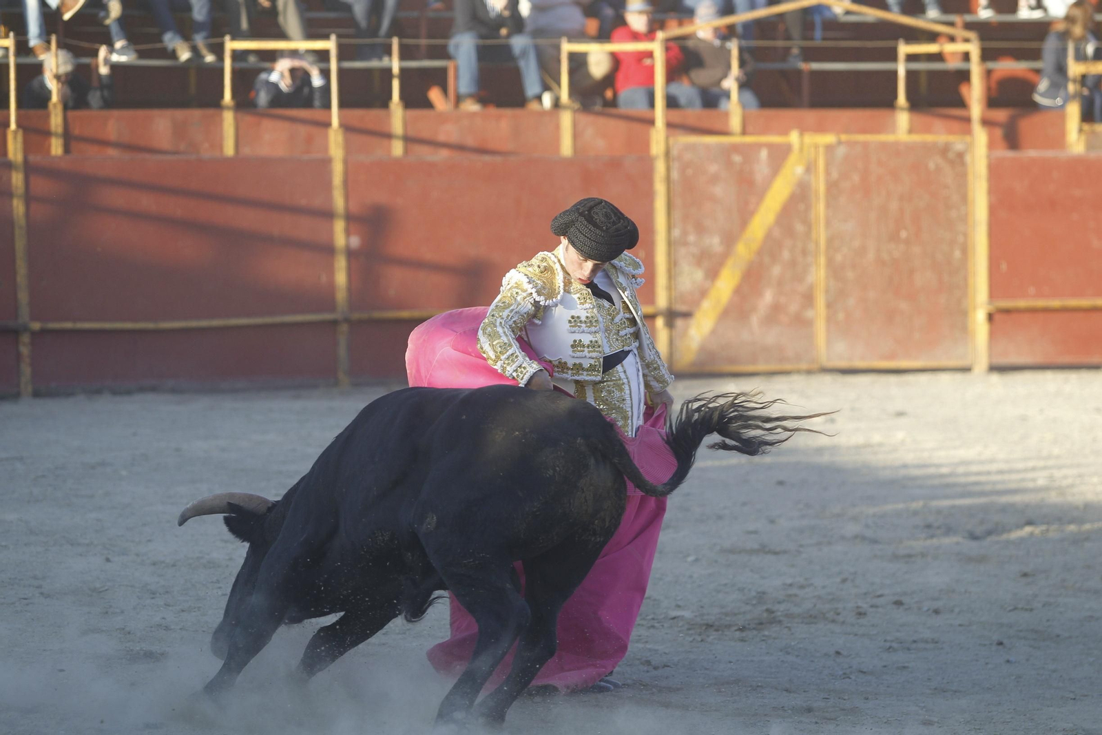 Fotogalería Novillada Fiestas de Abrucena