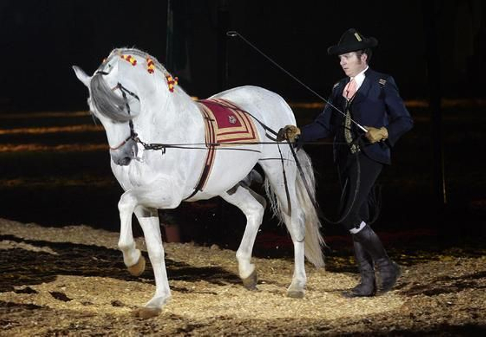 Número de riendas largas por Juan José Verdugo.

Foto: Juan Carlos Muñoz