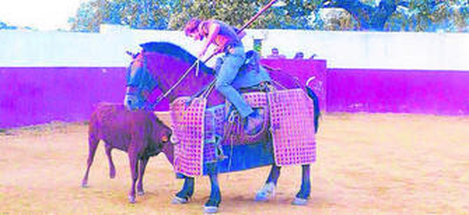 La tienta, laboratorio de la bravura para el ganadero.