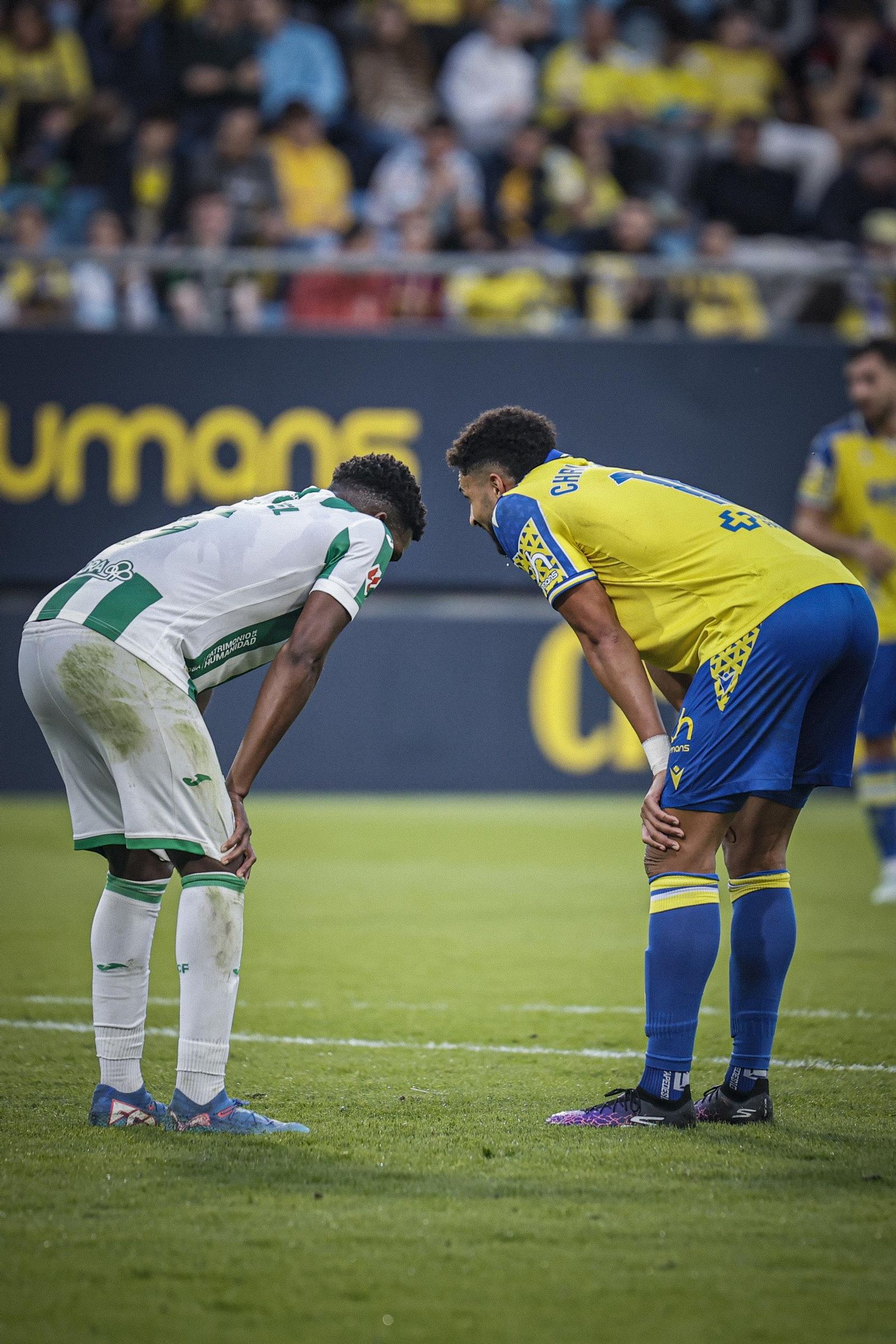Búscate entre las imágenes del partido de fútbol entre Cádiz CF y Córdoba CF