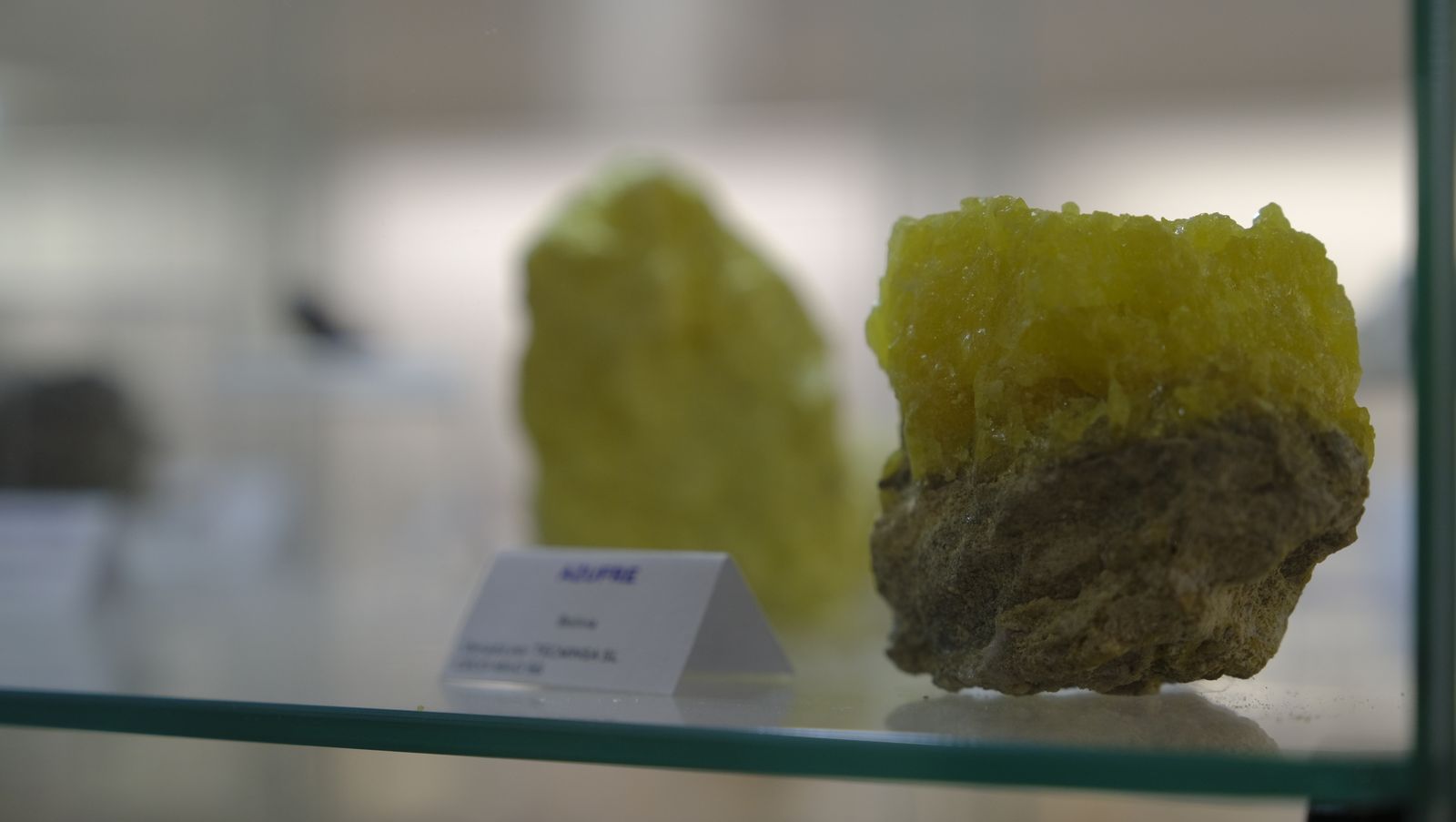 Las mejores imágenes del Pabellón de Historia Natural de la UAL