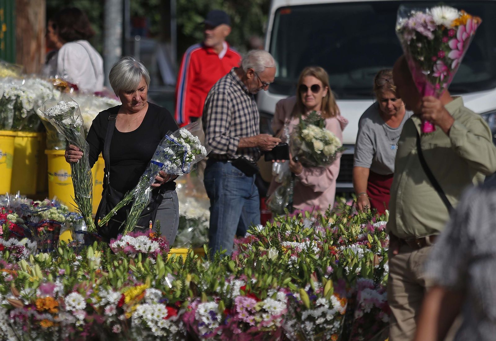 Fotos de los preparativos para los Tosantos en el cementerio de Algeciras