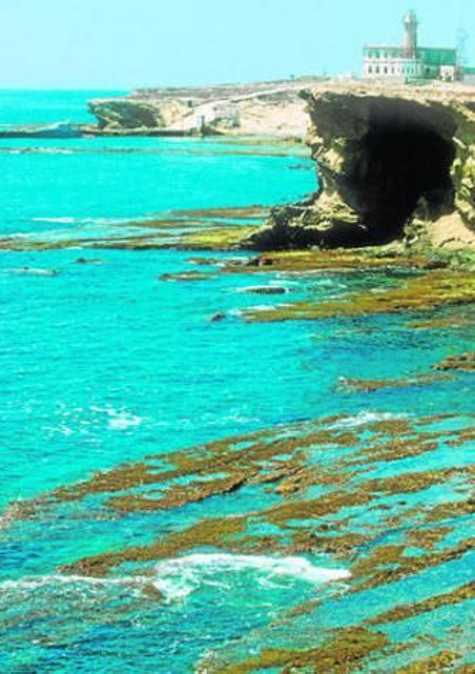Bajo el mar de Alborán